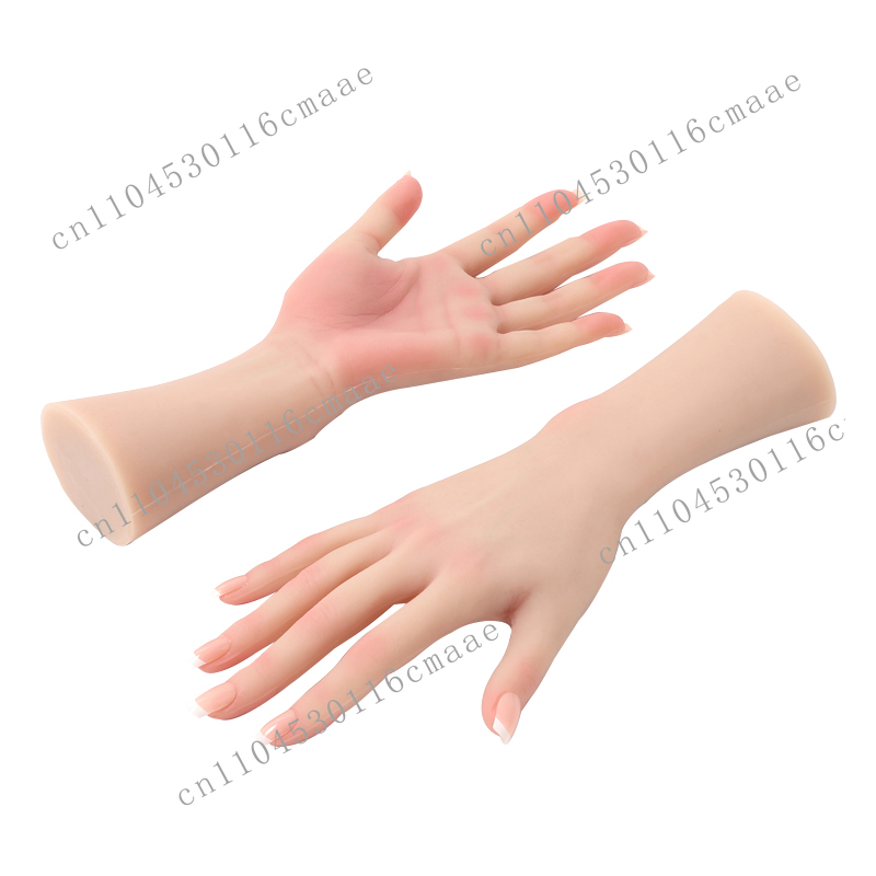 Female Silicone Hand Model, Us - Used Jewelry Watches review and price